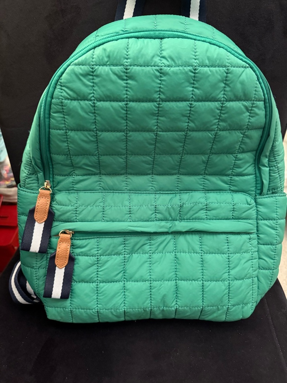 Quilted Teal Green Backpack with Stripe Accents
